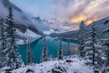 A Beautiful World