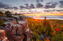 Near Wild Heaven