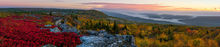 The Spectacular Bear Rocks