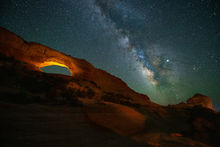 Light and Wilderness