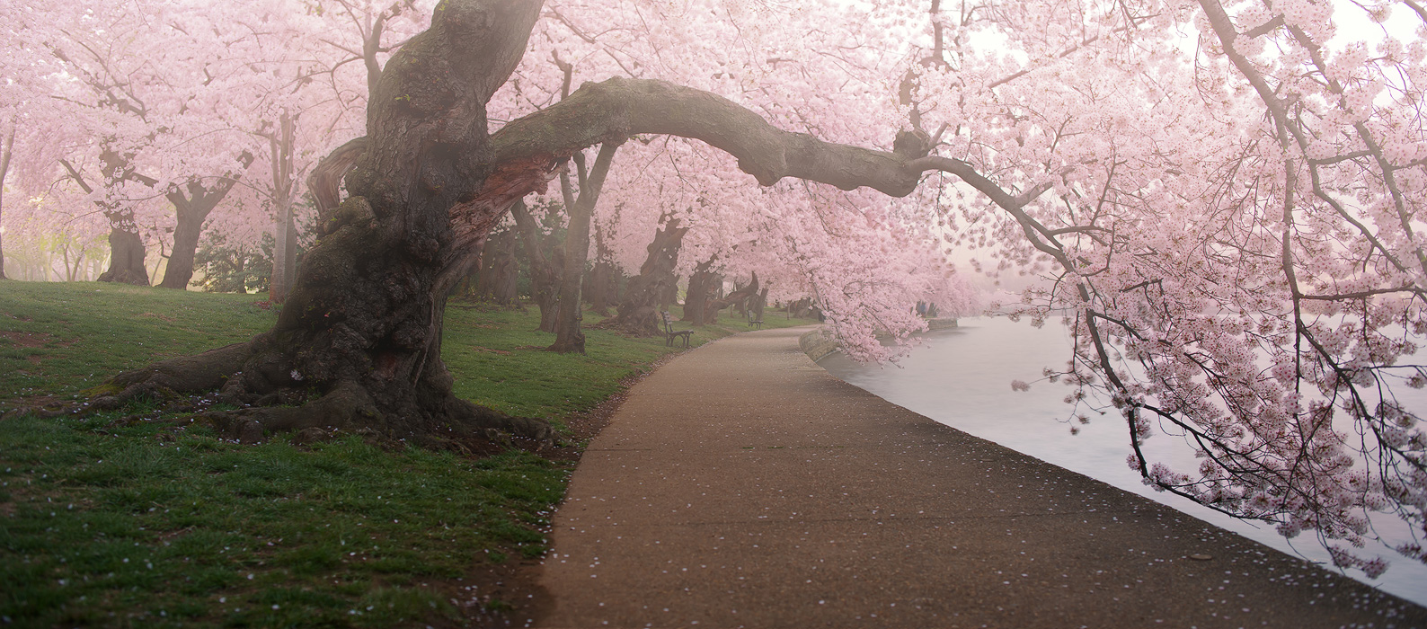 Original panoramic image size 30 x 15 inches