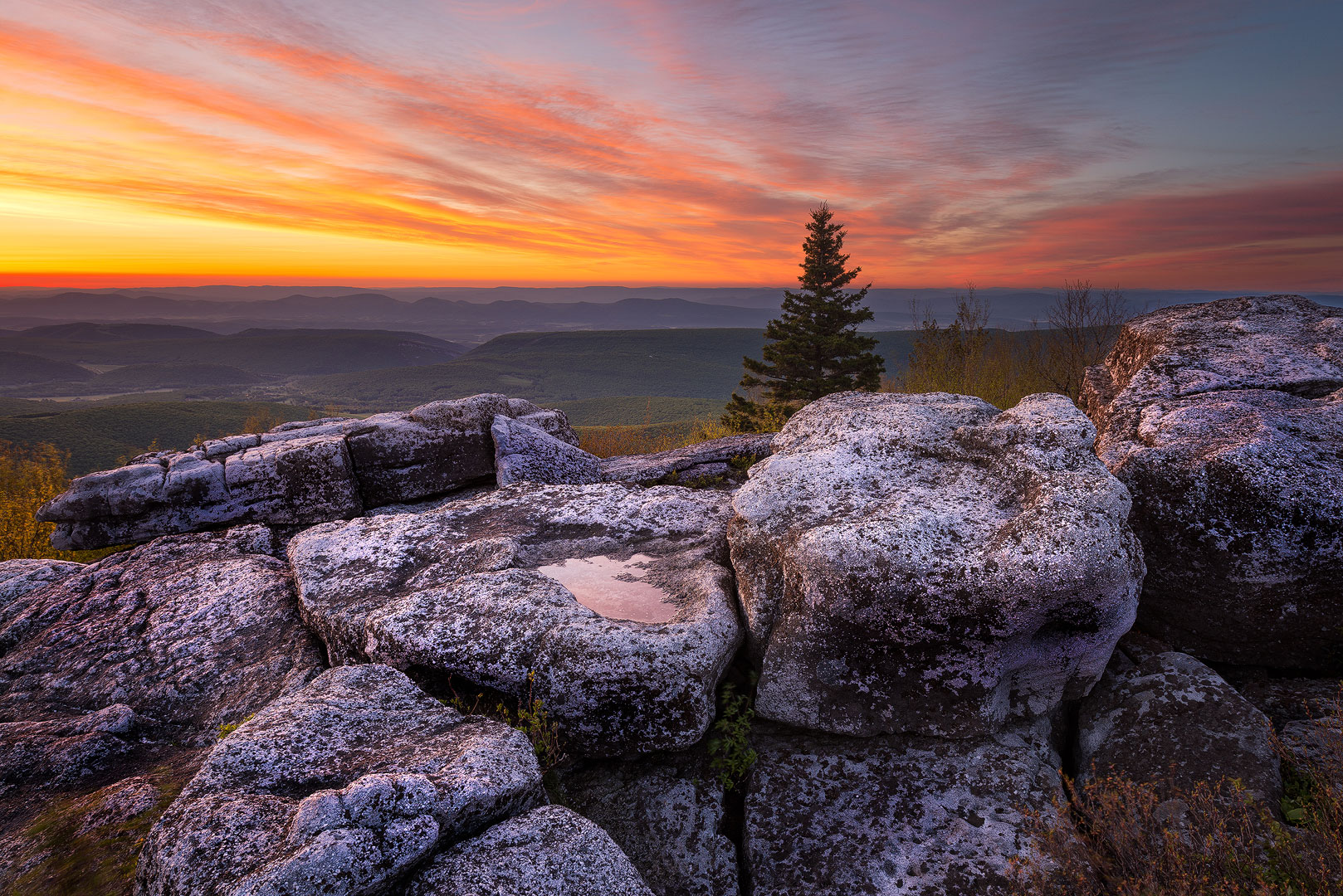West Virginia, Bear Rocks, Dolly Sods Wilderness, Canaan Valley, Hemlock, Mountain Laurel, Dolly Sods, Allegheny Mountains, Bear...