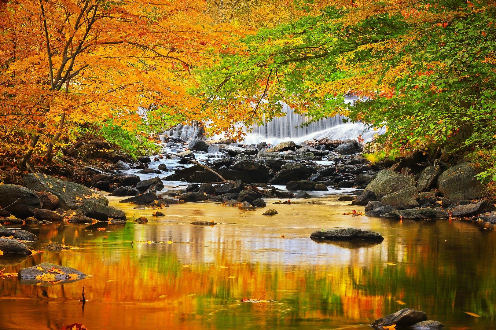 A Season of Change Catoctin Mountain, Maryland Bernard Chen Photography