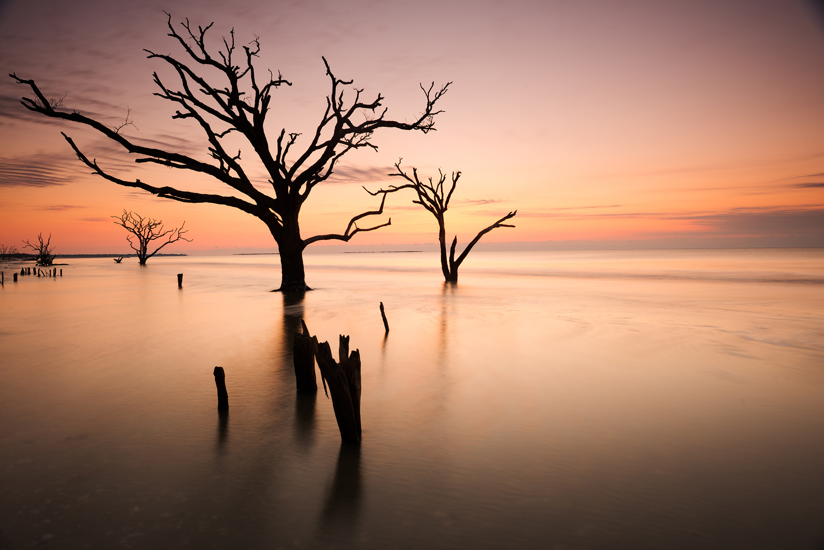 You can see why this beach has a nickname of boneyard beach. These trees have been overcome with the rising sea level and just...