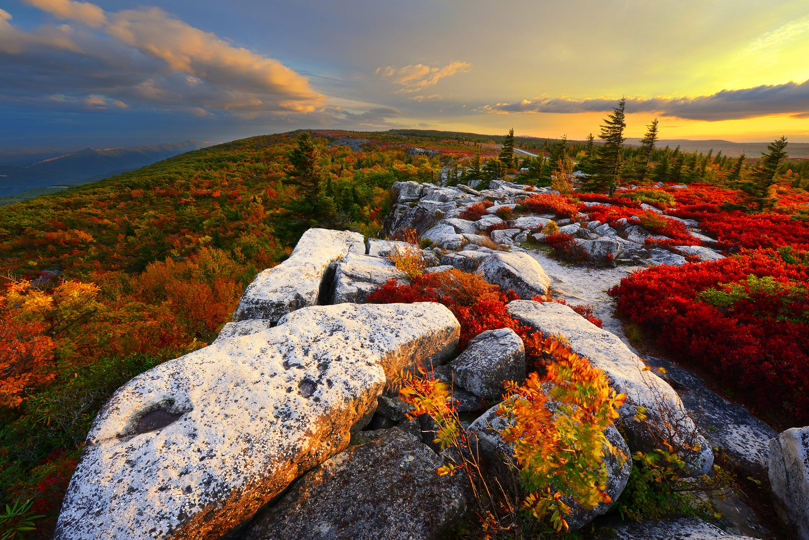 West Virginia, Bear Rocks, Dolly Sods Wilderness, Canaan Valley, Hemlock, Mountain Laurel, Dolly Sods, Allegheny Mountains, Bear...