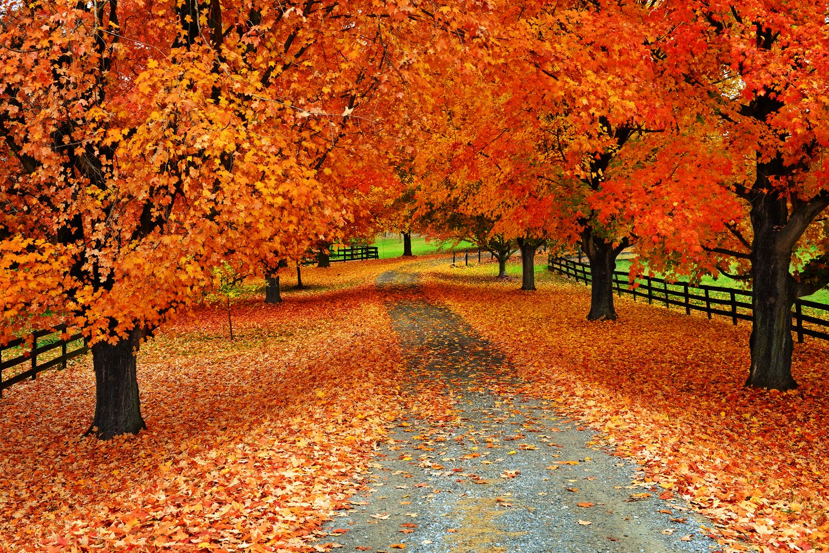 Virginia, Foilage, Autumn, Farms, Waterfall, Landscape, Purcellville, Loudoun, County, Fall, Season, Color