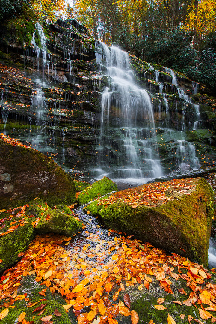 West Virginia, Blackwater Falls, Blackwater Falls State Park, Blackwater Canyon, Day, No People, Tree, Motion, Rapid, Force...