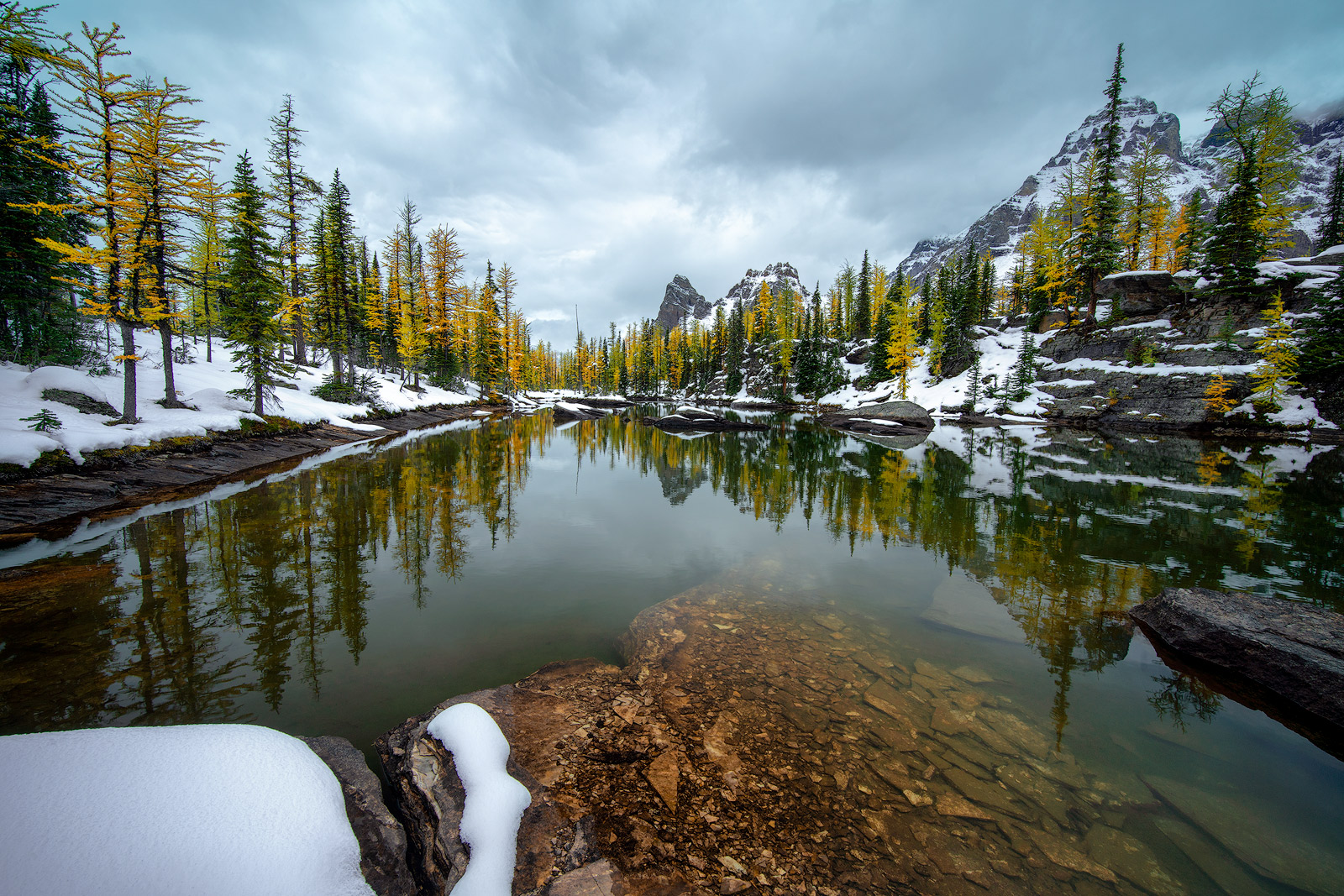 We had just completed our 7 miles trek to Lake O’Hara and made our way up to the plateau, which pretty much exhausted all three...