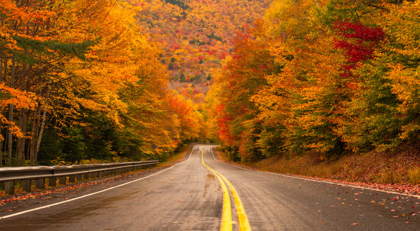 Kancamagus Highway, White Mountains, New Hampshire, Autumn, Bright, Colorful, Leaves, Fall Season, Road, Trees