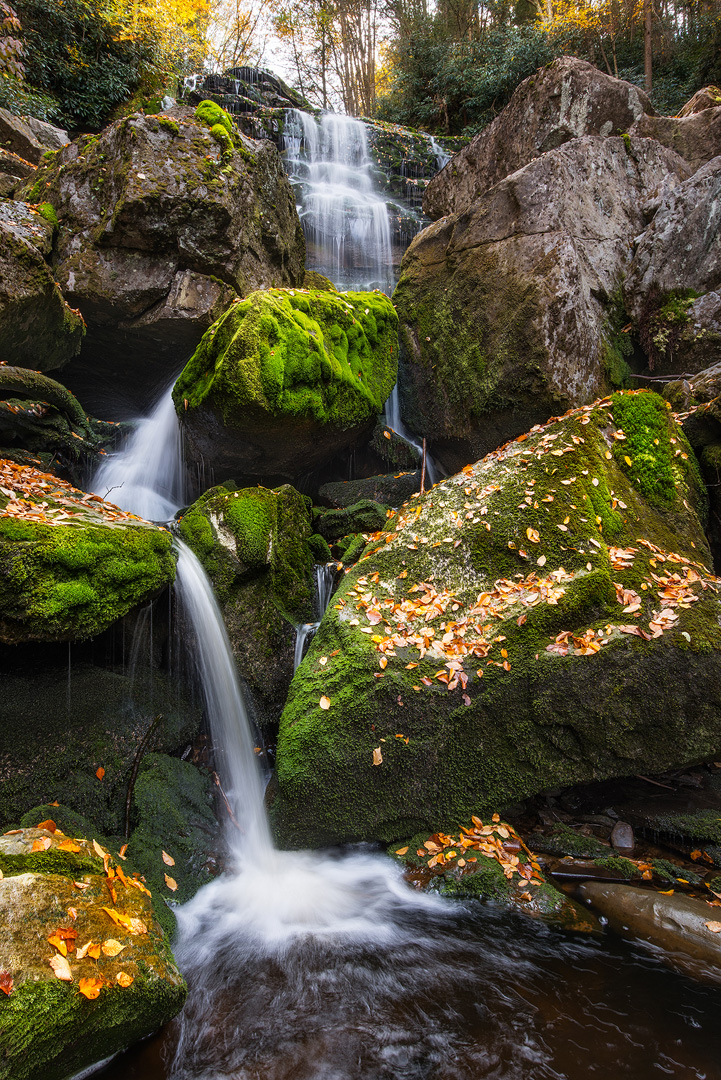 West Virginia, Blackwater Falls, Blackwater Falls State Park, Blackwater Canyon, Day, No People, Tree, Motion, Rapid, Force...