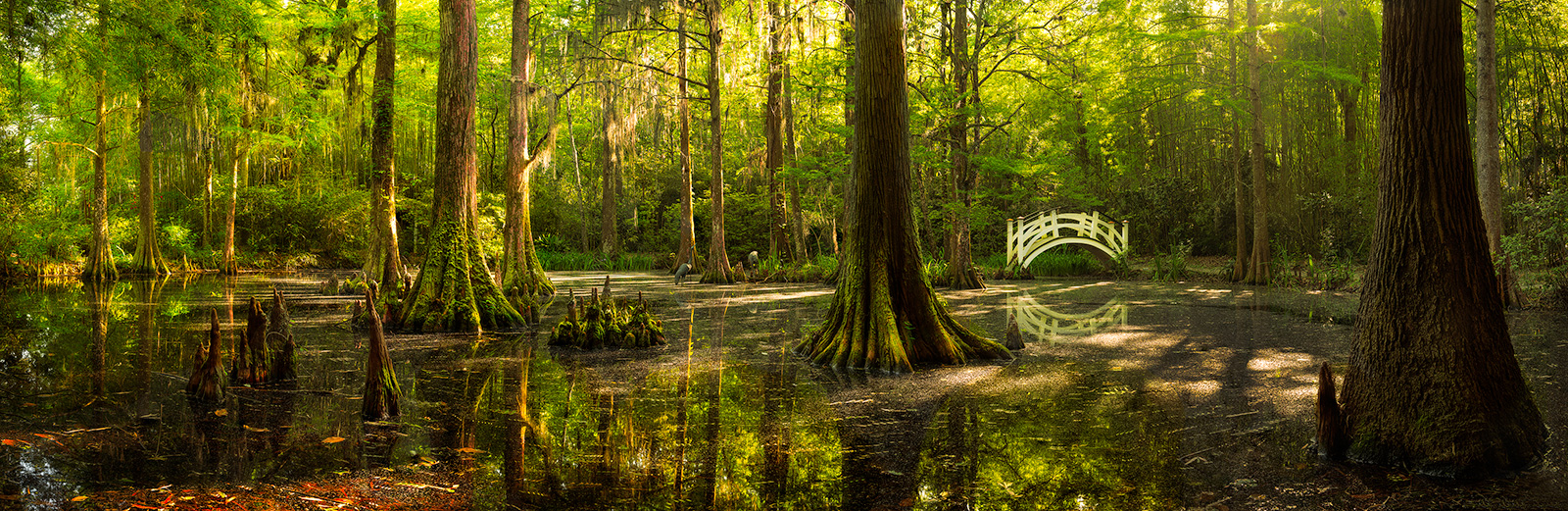 Original panoramic image size 90 x 28 inches We walked upon this scene during mid morning and instantly knew it was worth coming...