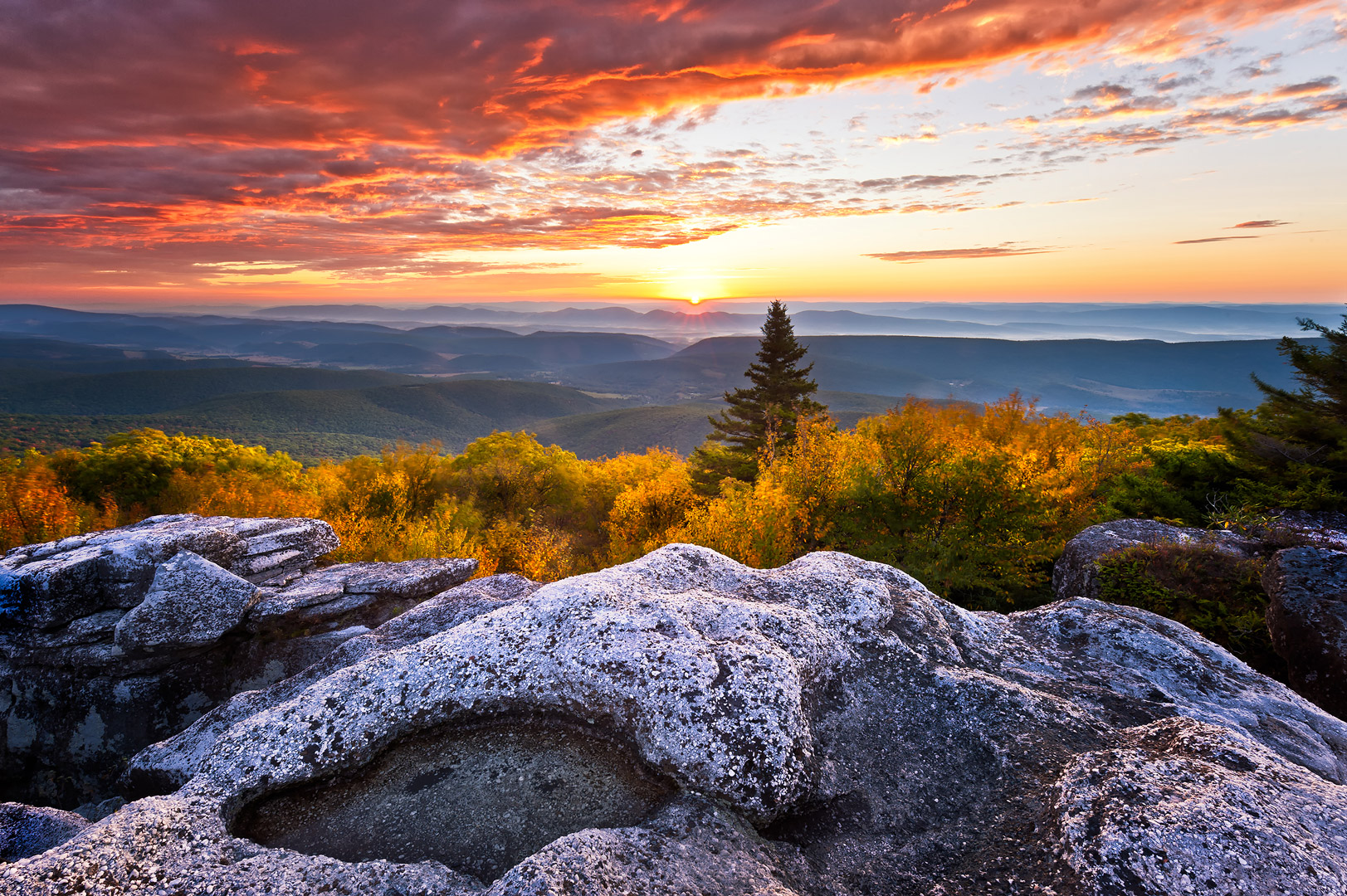 West Virginia, Bear Rocks, Dolly Sods Wilderness, Canaan Valley, Hemlock, Mountain Laurel, Dolly Sods, Allegheny Mountains, Bear...