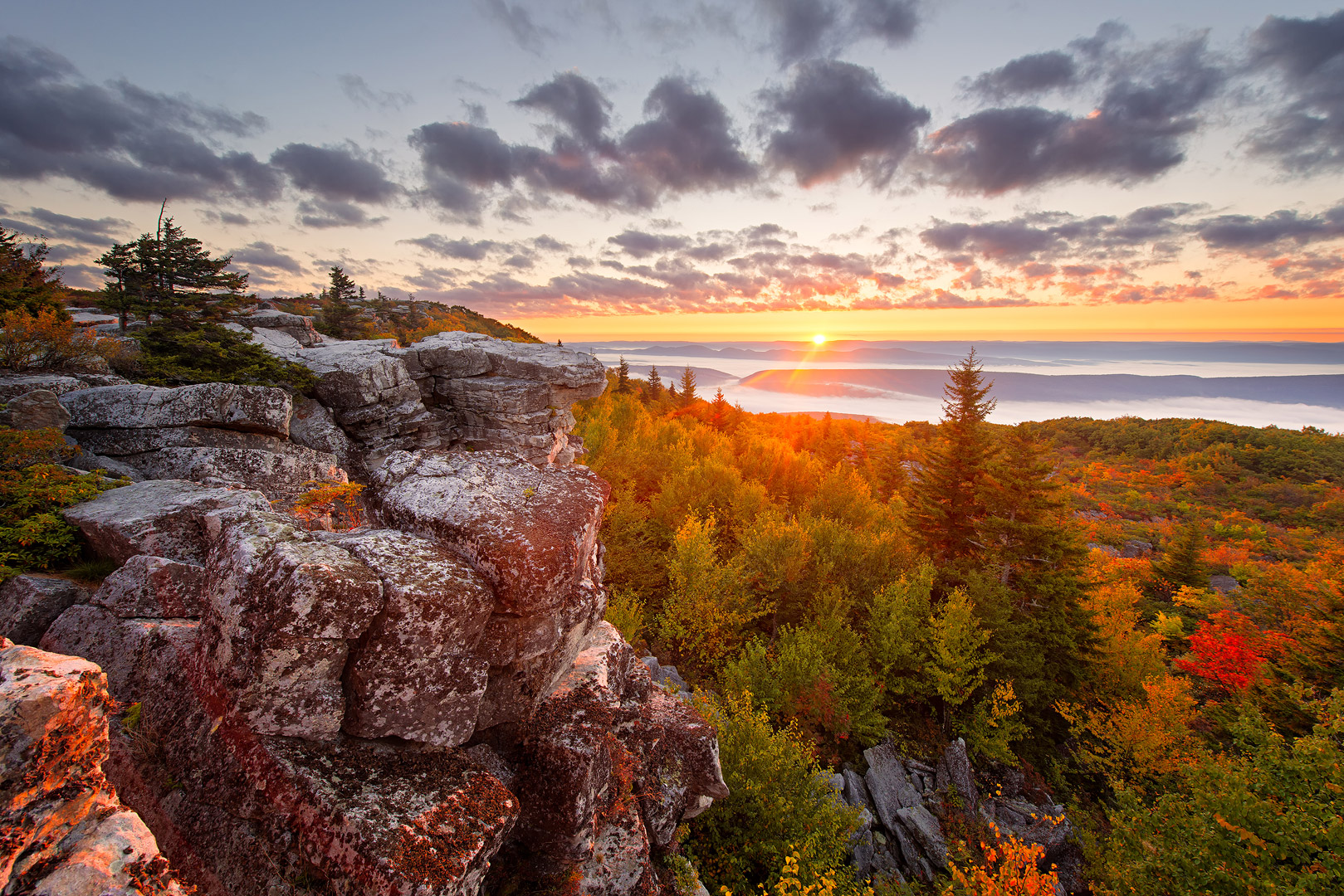 West Virginia, Bear Rocks, Dolly Sods Wilderness, Canaan Valley, Hemlock, Mountain Laurel, Dolly Sods, Allegheny Mountains, Bear...
