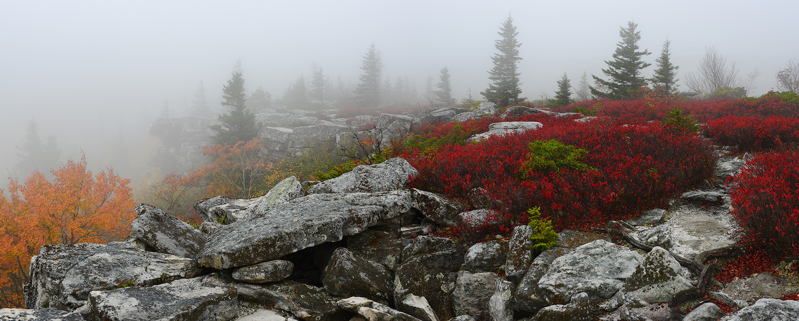 Original panoramic image size 50 x 20 inches &nbsp;