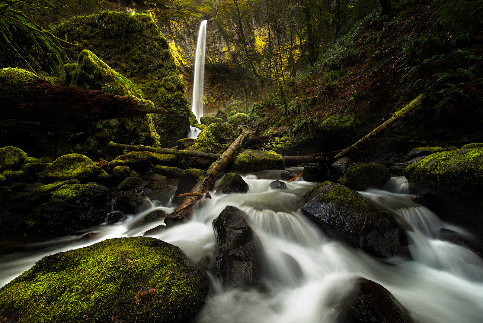 Columbia River Gorge, Elowah Falls, Long Exposure, Moss, Oregon, Pacific Northwest, Waterfall, Streams, Landscape, Beautiful