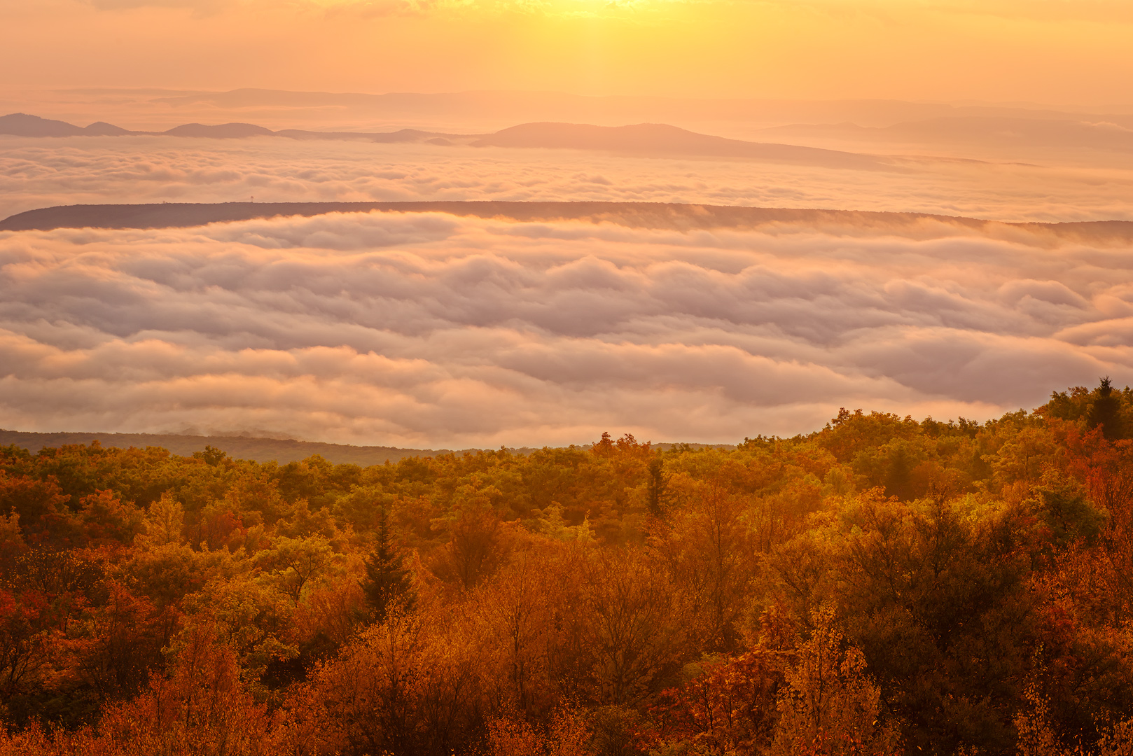 West Virginia, Bear Rocks, Dolly Sods Wilderness, Canaan Valley, Mountain Laurel, Dolly Sods, Allegheny Mountains, Bear Rocks...