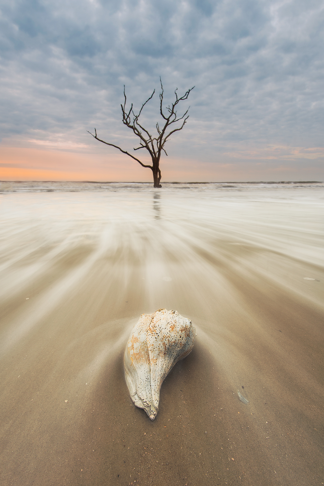 Shelling Out Edisto Island, South Carolina Bernard Chen Photography