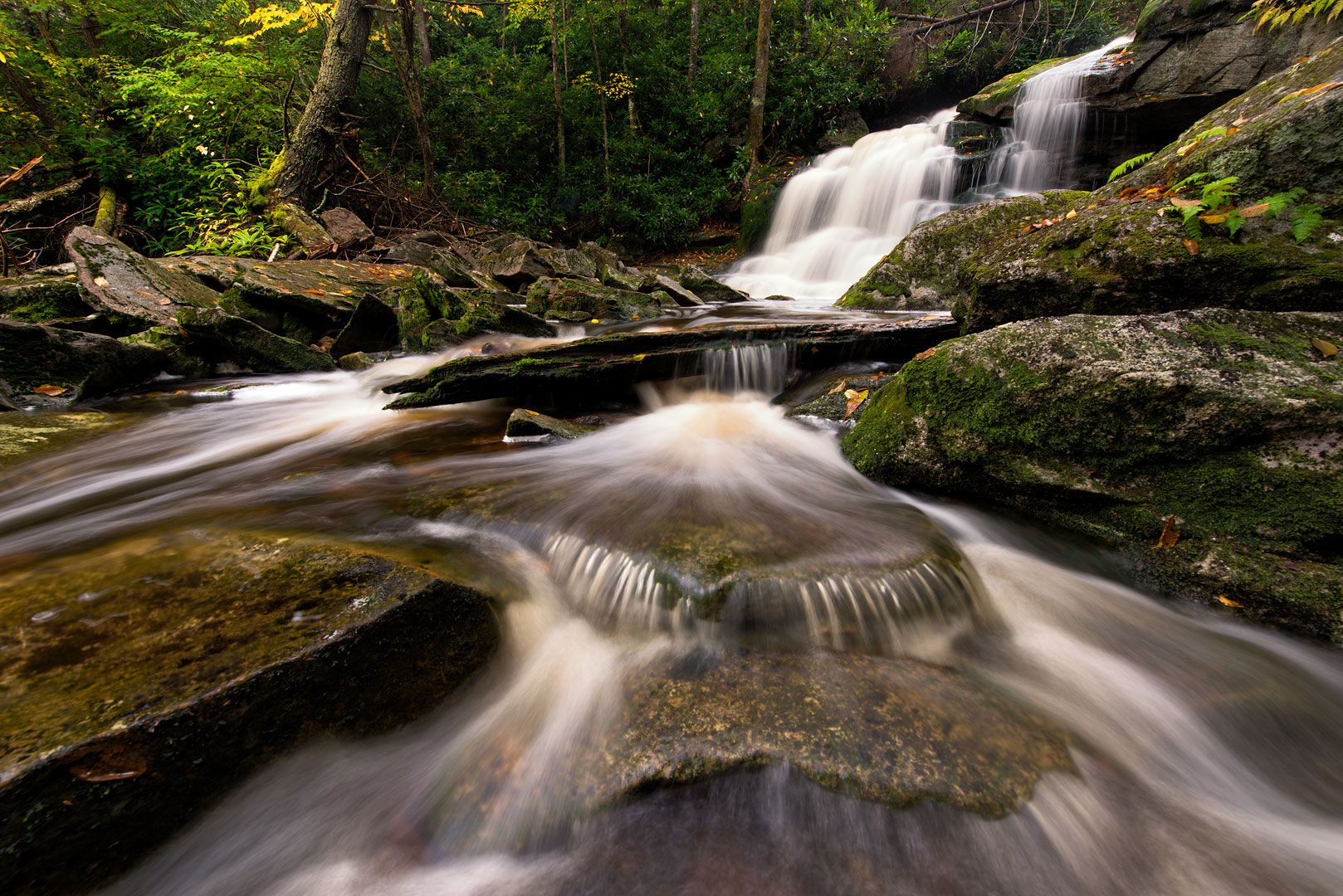 Forest, Water Falls, Ferns, West Virginia, Elakala Falls, Shays Run, Blackwater Canyon, Elakala, Allegheny Mountains, Monongahela...