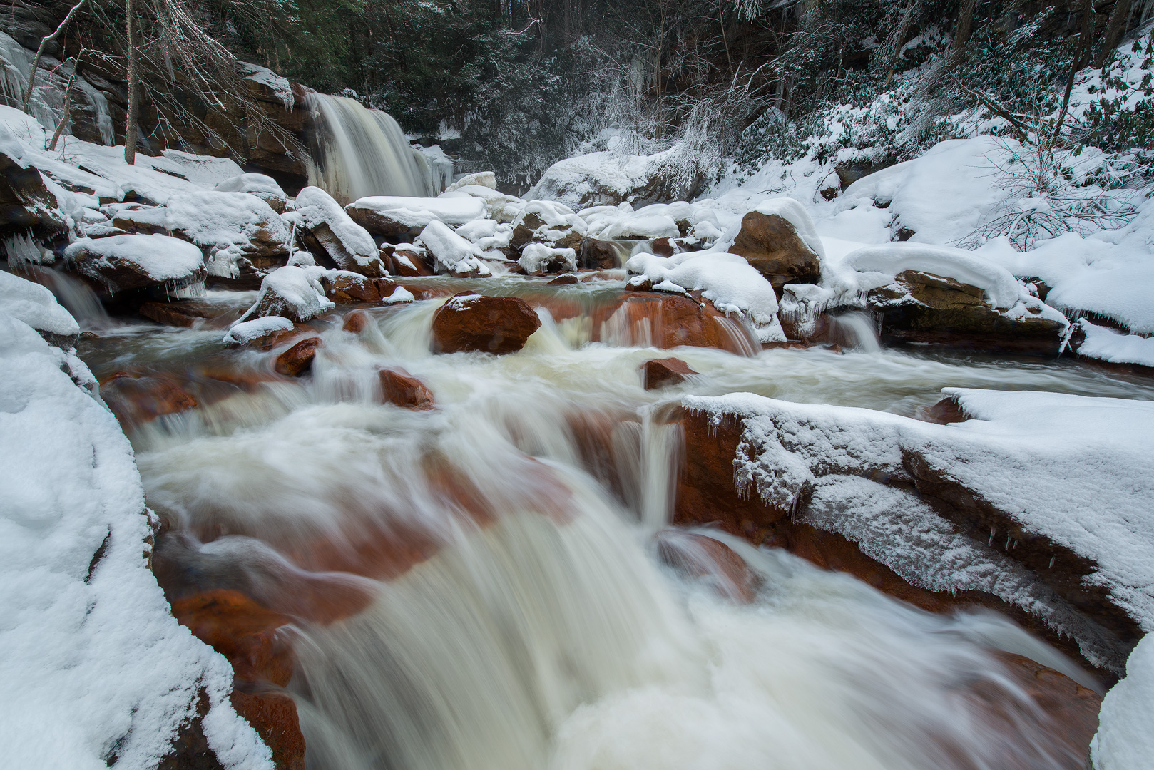 When I first laid my eyes on Douglas Falls six years ago, I was like a kid that just stepped in the candy store. She was the...