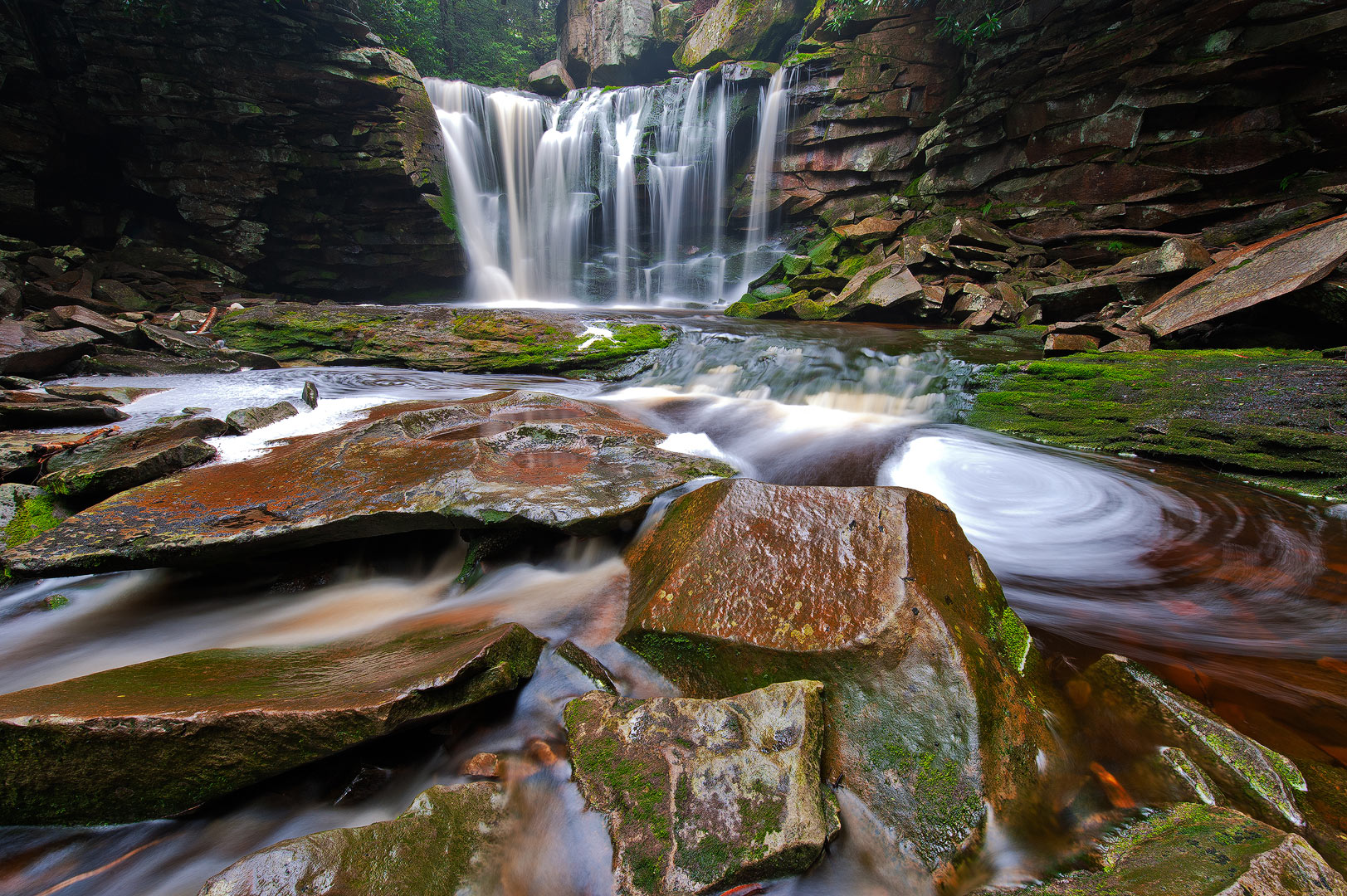 West Virginia, Blackwater Falls, Blackwater Falls State Park, Blackwater Canyon, Day, No People, Tree, Motion, Rapid, Force...