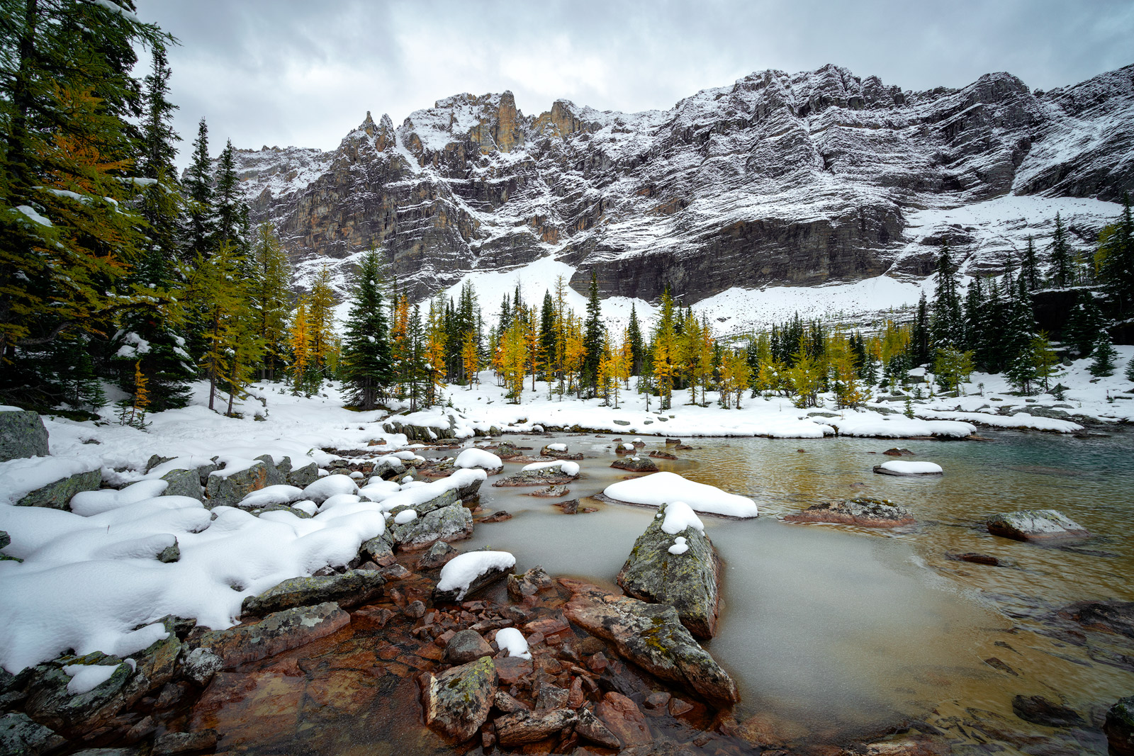 You will rarely hear about Lake O'hara but if you ever get an opportunity to see this location, then lay it all out because getting...