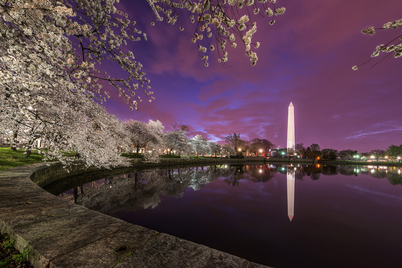 2015 Cherry Blossoms in Washington DC. This is my fifth year I have captured the blossoms around the Tidal Basin and every year...