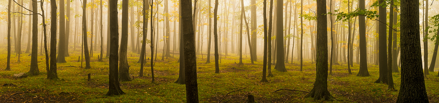 Original panoramic image size 120 x 30 inches
