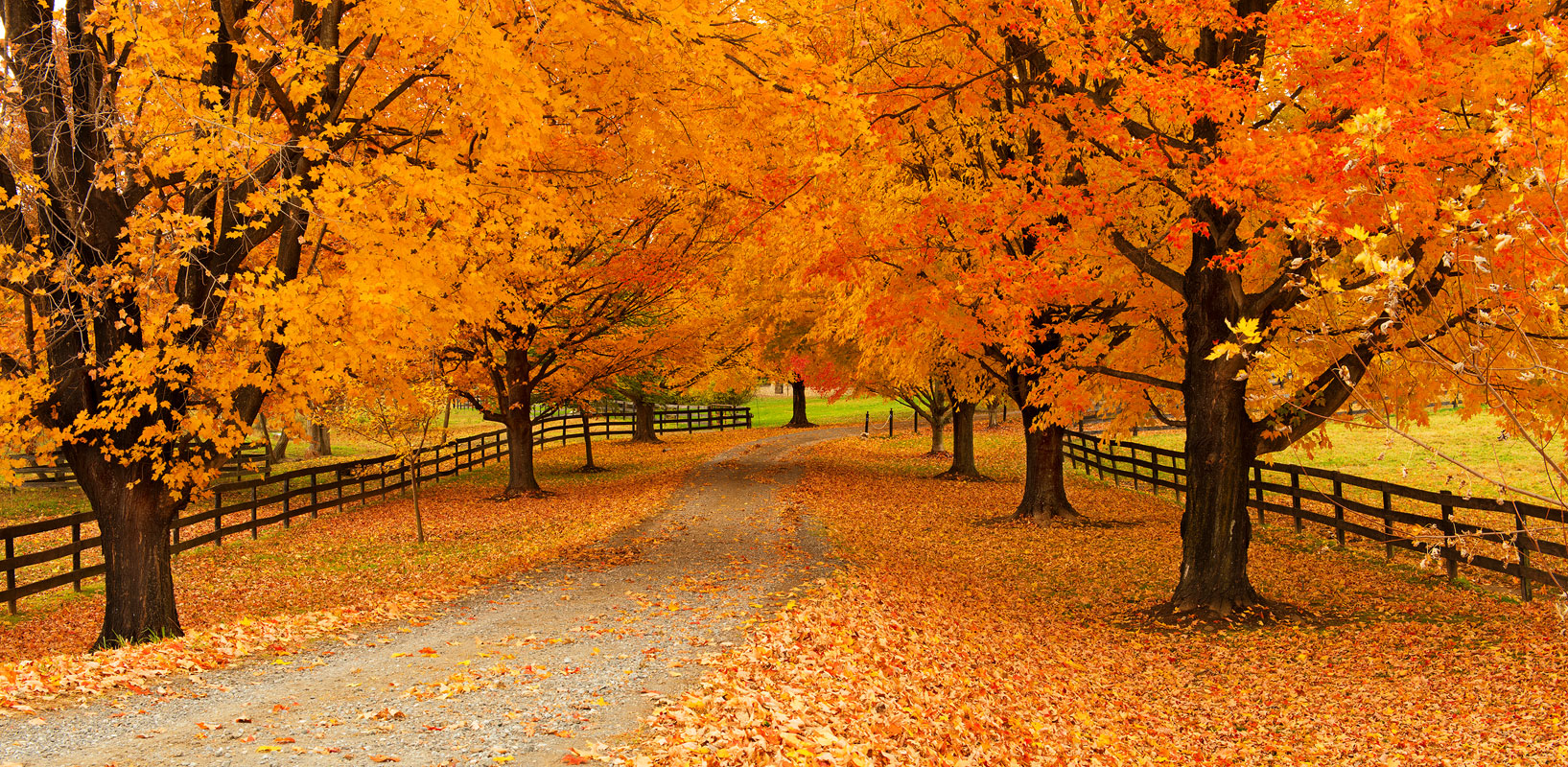 Virginia, Foilage, Autumn, Farms, Waterfall, Landscape, Purcellville, Loudoun, County, Fall, Season, Color