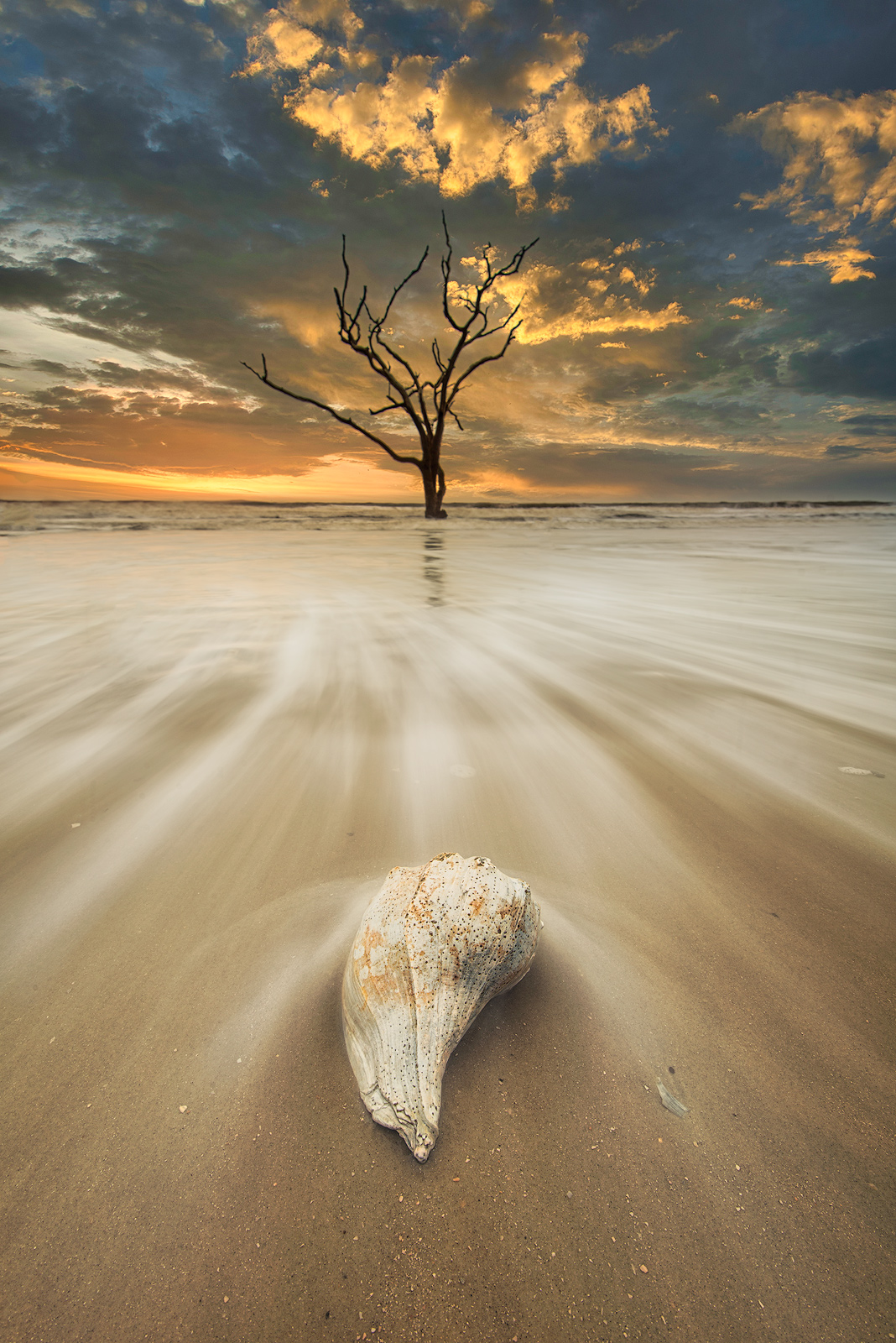 South Carolina, Edisto Island, Botany Bay Plantation, Sunrise, beach, sea shells, long exposure, sand, motion, atlantic, ocean...