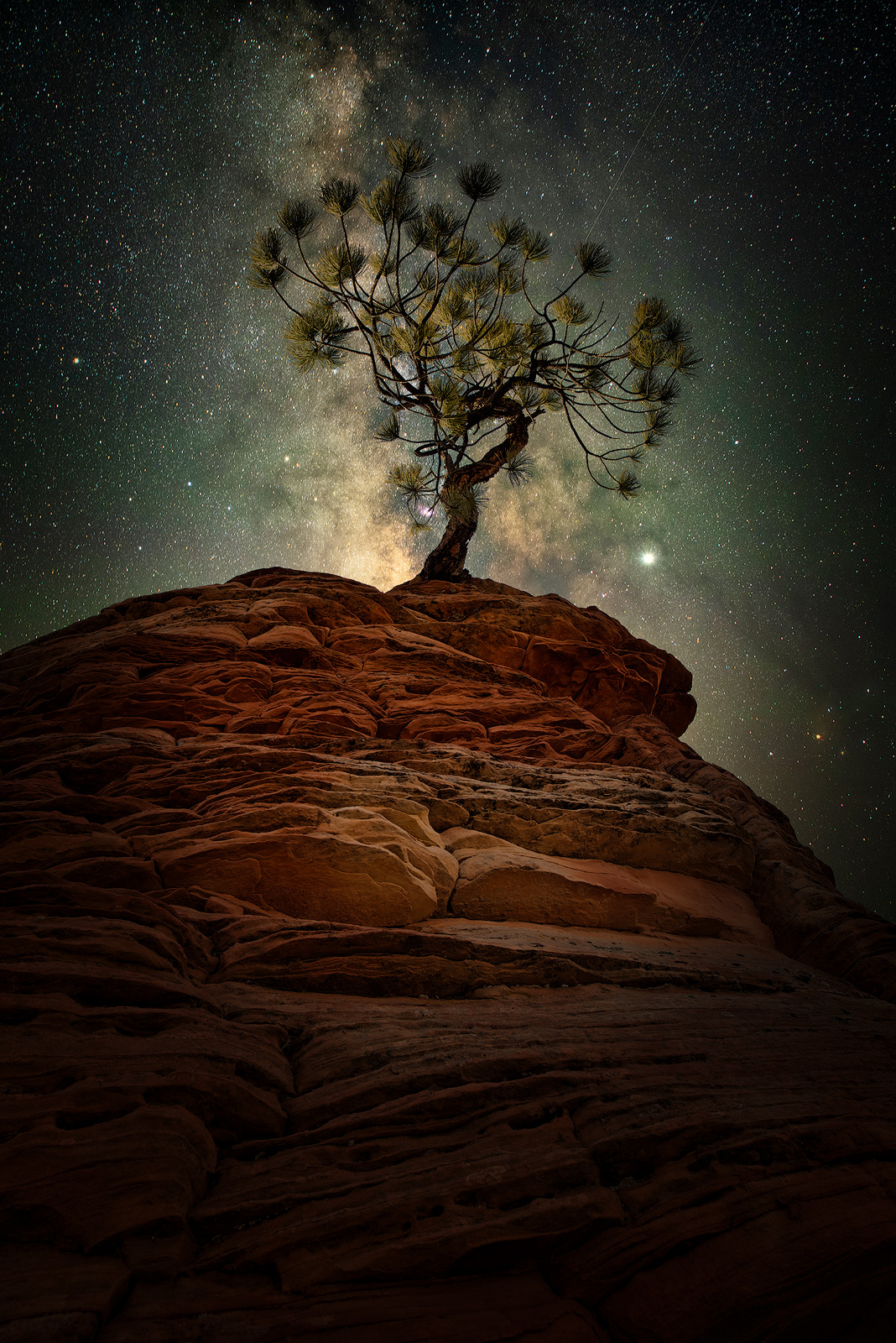 zion national park, milky way, astrophography, night sky, lonely tree, red rocks, zion, national park, beautiful scenery, stars...