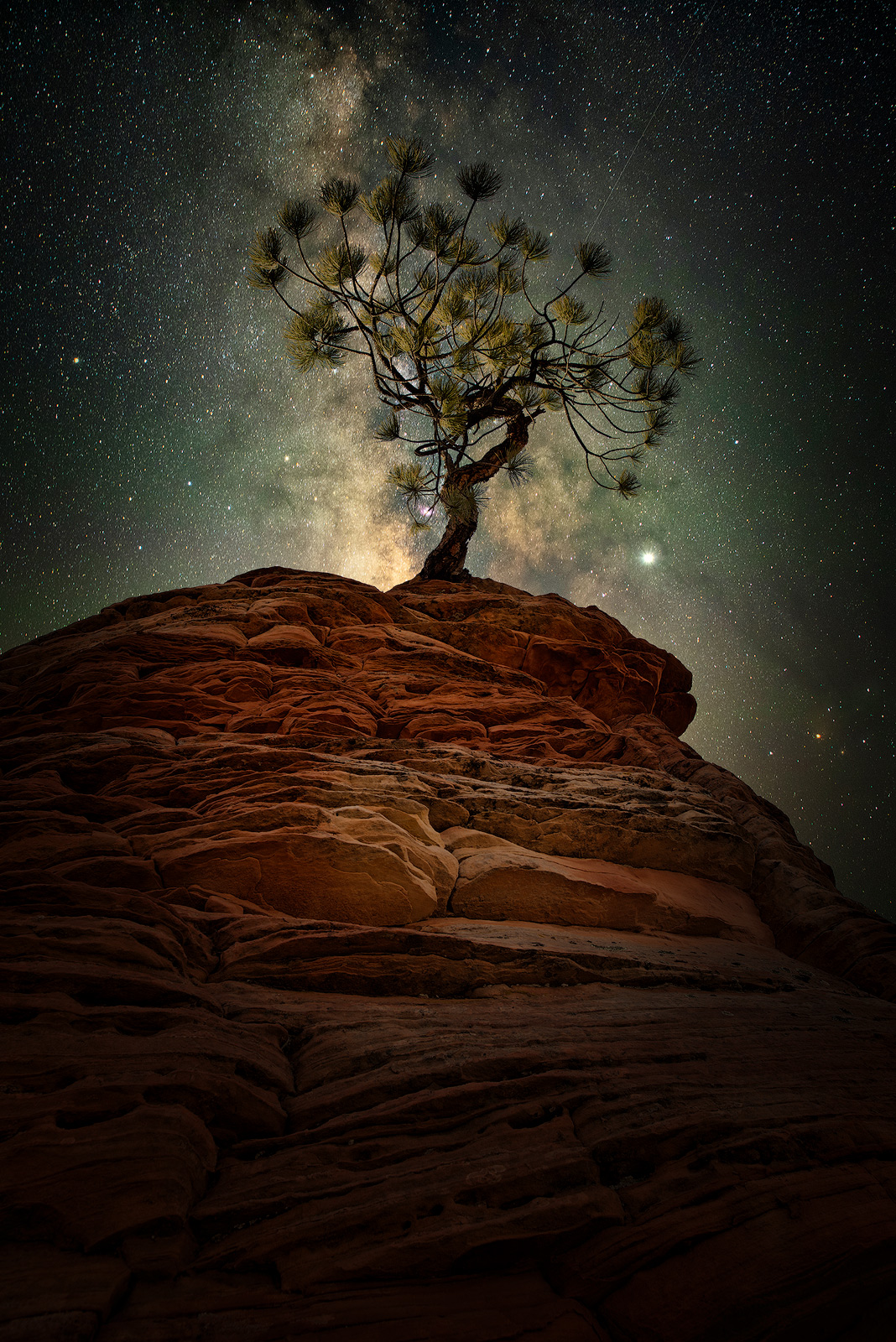 Chasing Starlight zion national park, milky way, astrophography, night sky, lonely tree, red rocks, zion, national park, beautiful scenery, stars...