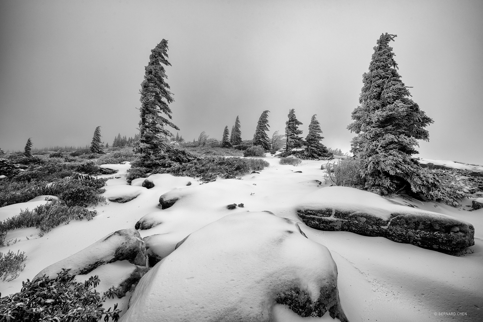 The unforgiving winter conditions on Dolly Sods makes this shot almost impossible and on this day, the winds was howling around...
