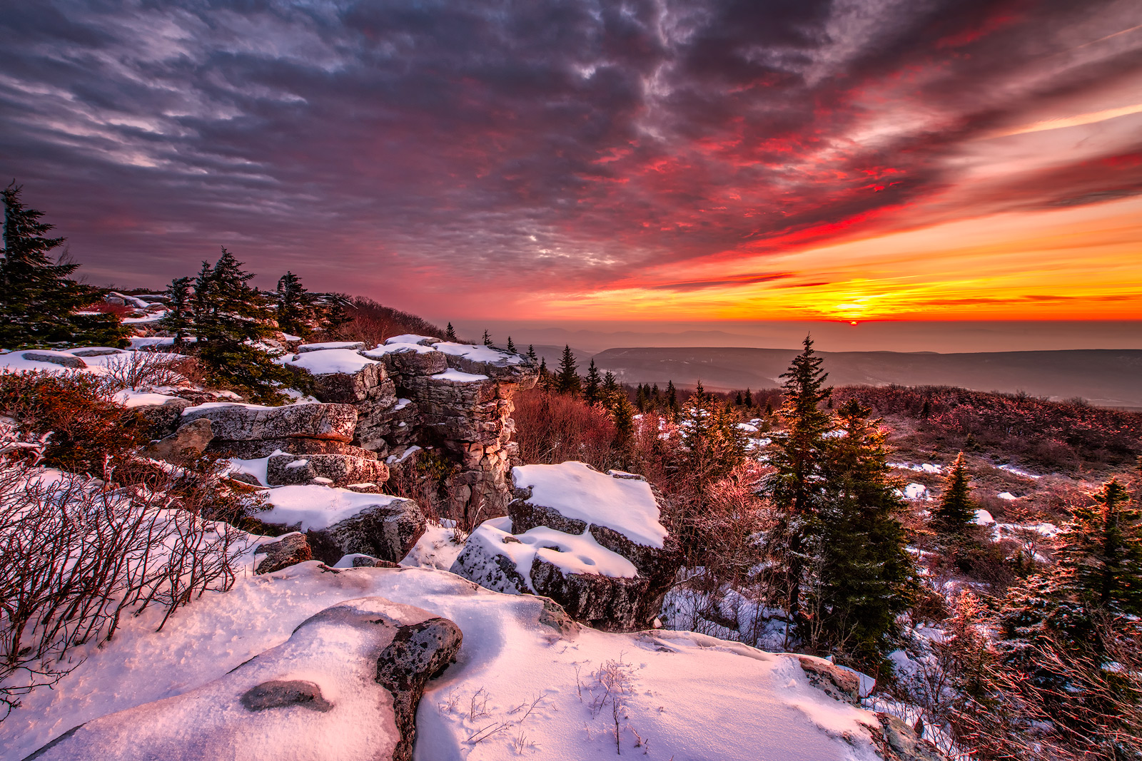 I have photographed many sunrises on Dolly Sods; however, this image will be the most memorable image I have ever captured from...