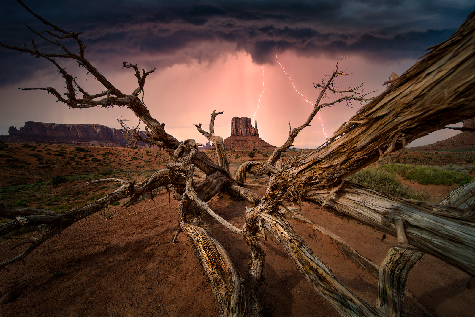 monument valley, dark skies, lightening, storms, canyons, utah, desert, broken tree, amazing, landscape, storm chasing, rain...